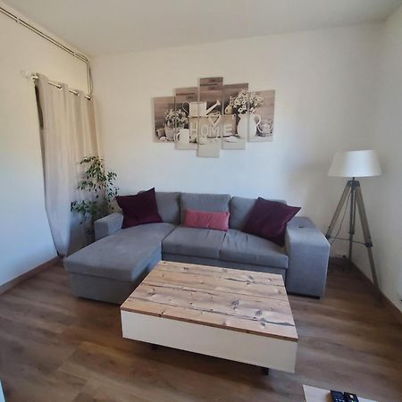Appartement Lumineux En Centre-Ville Neuves-Maisons Eksteriør billede